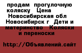 продам  прогулочную коляску › Цена ­ 3 000 - Новосибирская обл., Новосибирск г. Дети и материнство » Коляски и переноски   